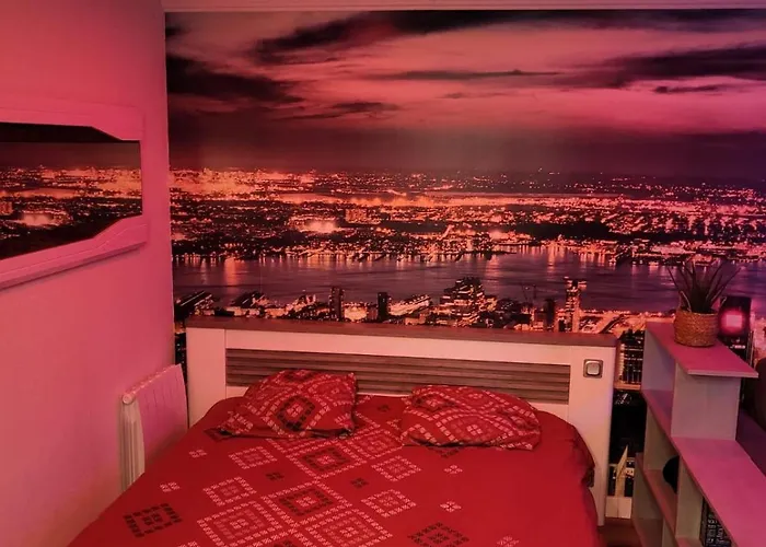 Cosy Au Rdc Parking Prive, Terasse, Wifi * 알랑송